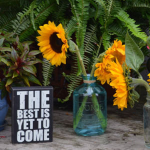 Meet your Posher, Christine